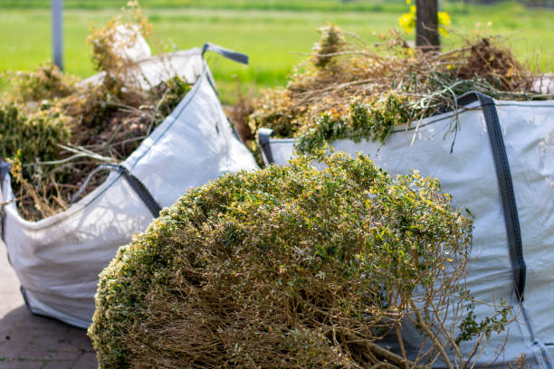 Best Residential Junk Removal  in Brentwood, CA
